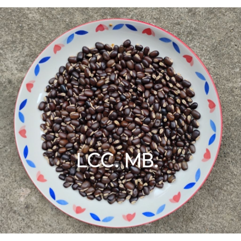 

Biji Kacangan Mucuna Bracteata ( MB ) Lokal super 500 Gr