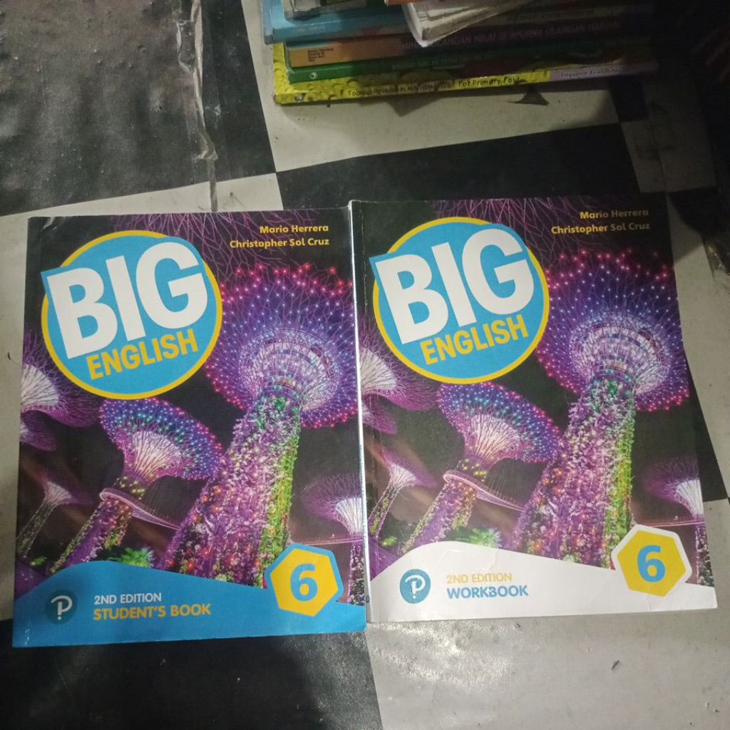 BIG english 6 student book dan workbook