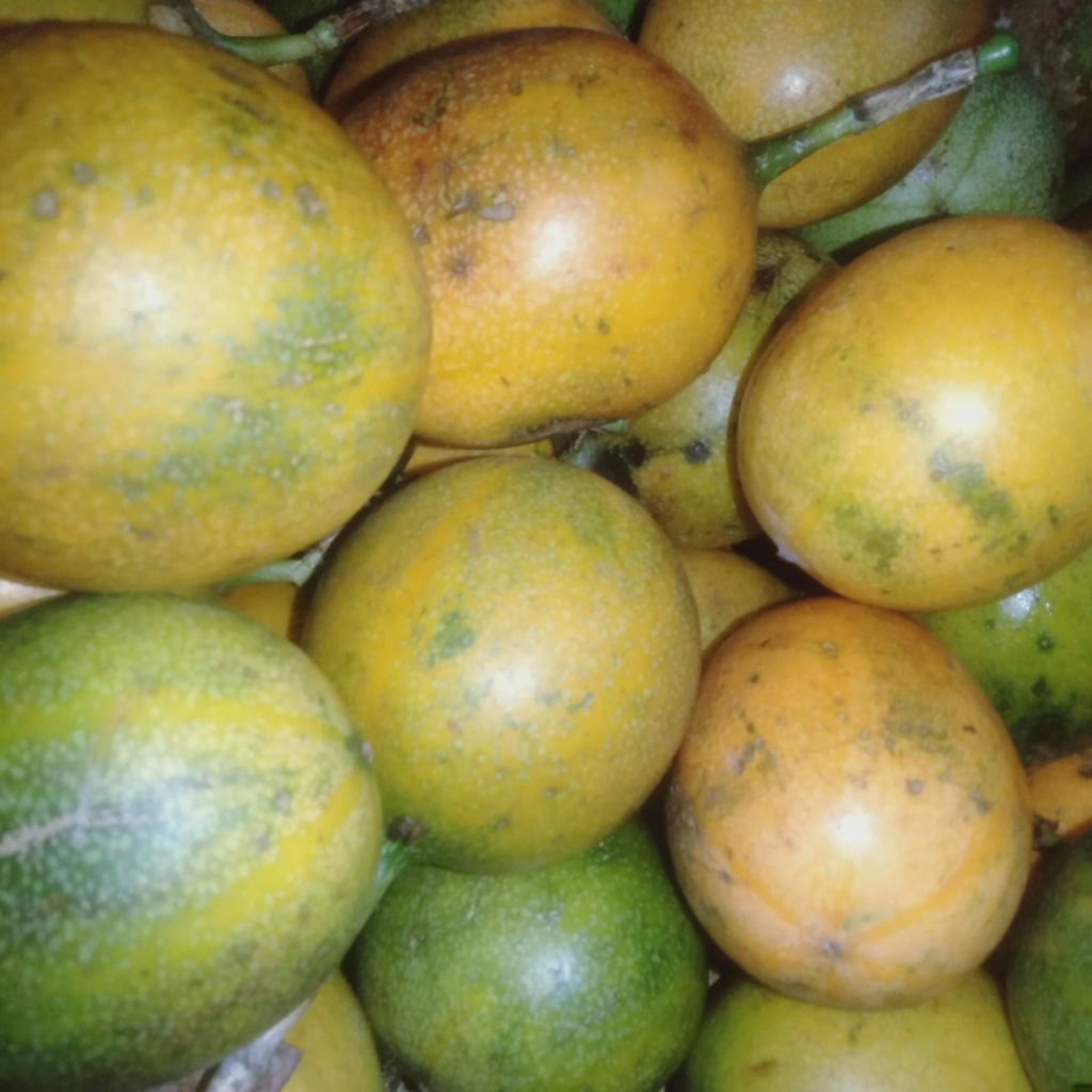 

jual 1 kg buah markisa madu /konyal madu super manis dan segar marasi