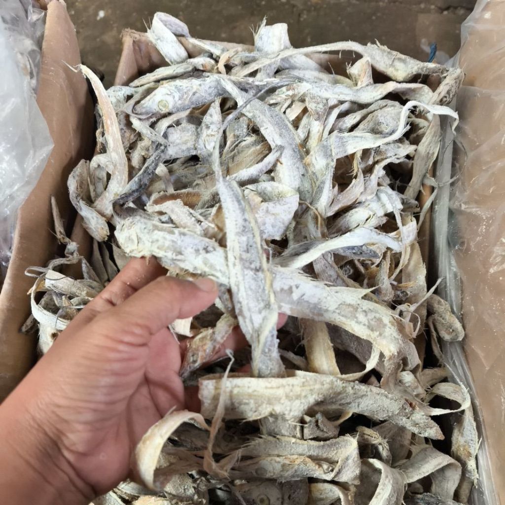 

ikan asin layur kecil super kering (ukuran sejari)