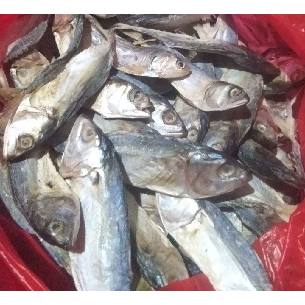 

ikan asin kenaren kembung