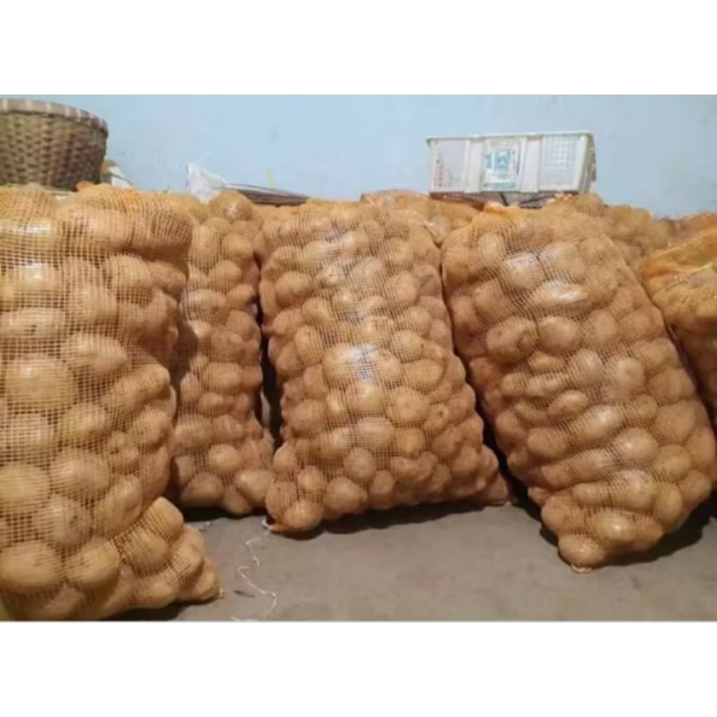 

Kentang untuk bahan cemilan