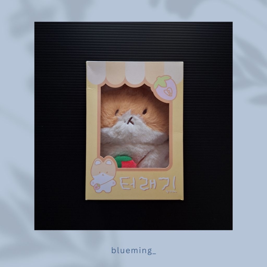 [BOOKED] TEOLAEGI 20 CM DOLL