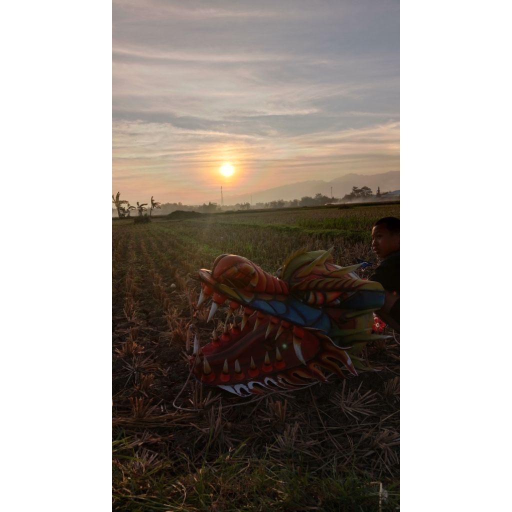 kepala layangan naga dm 50