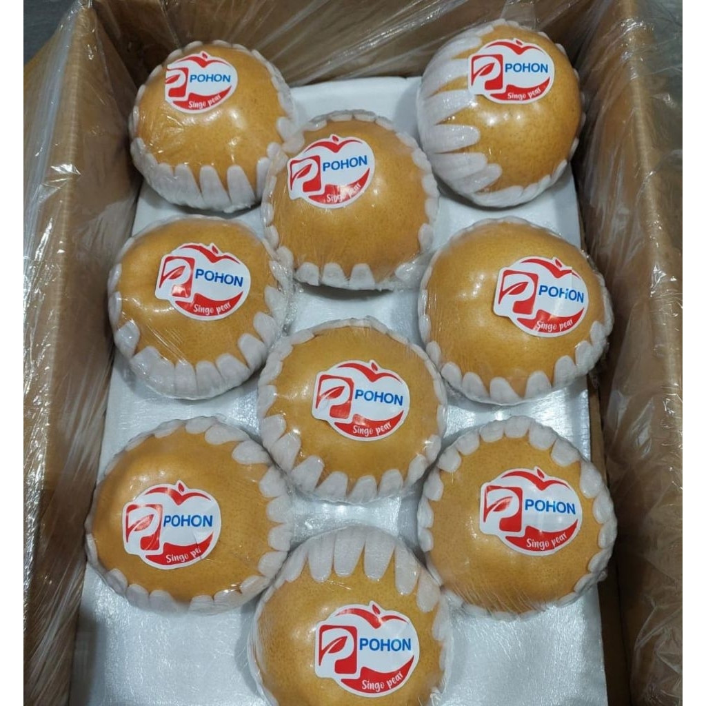 

pir singo korea kurleb/kg