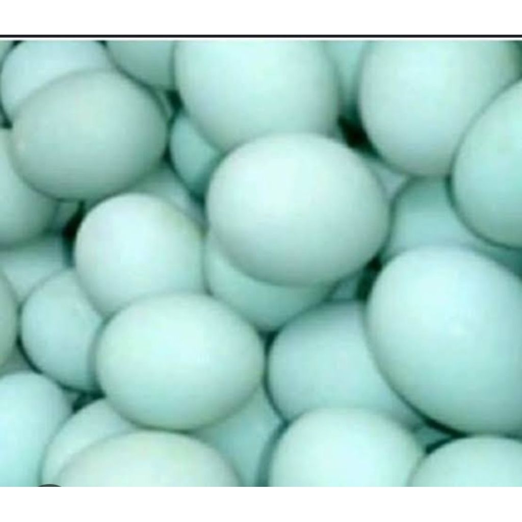 

telor bebek mentah tawar 1pcs