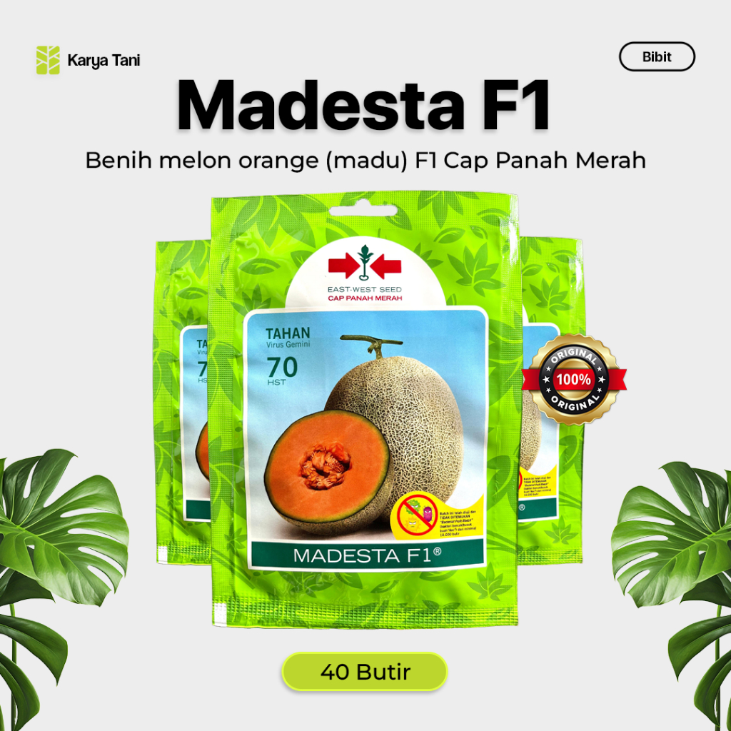 BENIH MELON MADESTA F1 40 BIJI CAP PANAH MERAH MELON GOLDEN MADU
