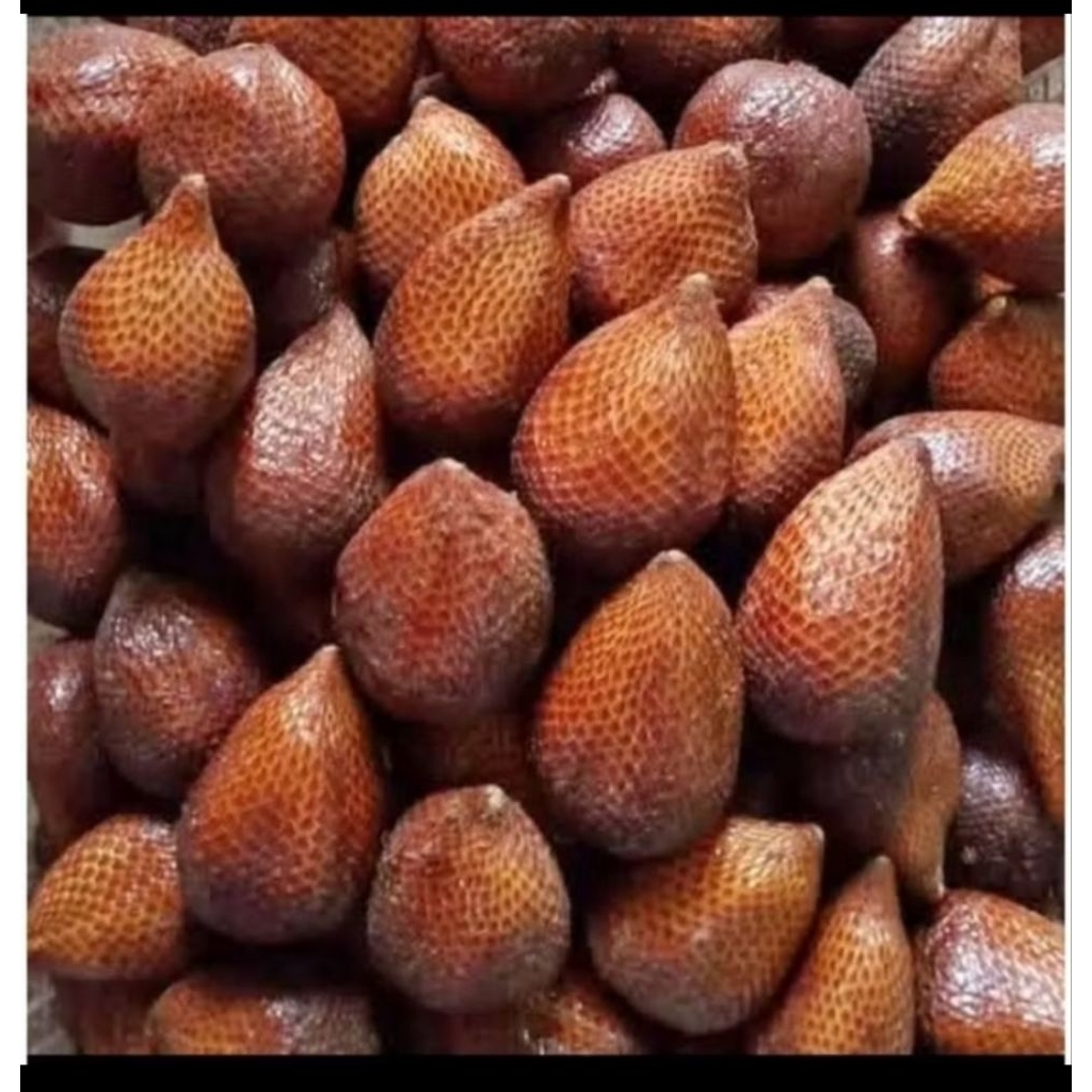 

salak pondok 1kg
