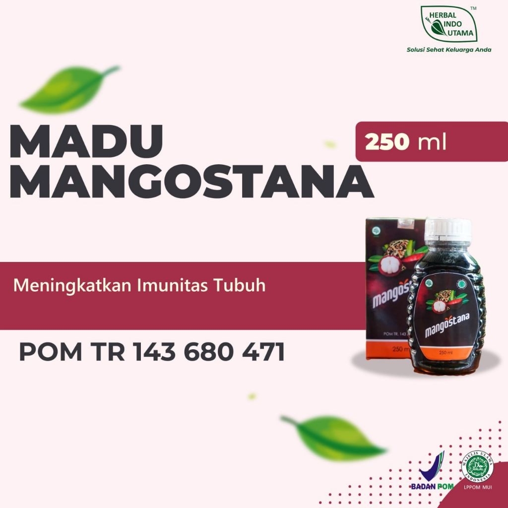 

Madu Herbal Mangostana | Tingkatkan Hemoglobin, Atasi Maag, Darah Tinggi & Diabetes | 250ml - Herbal Indo Utama