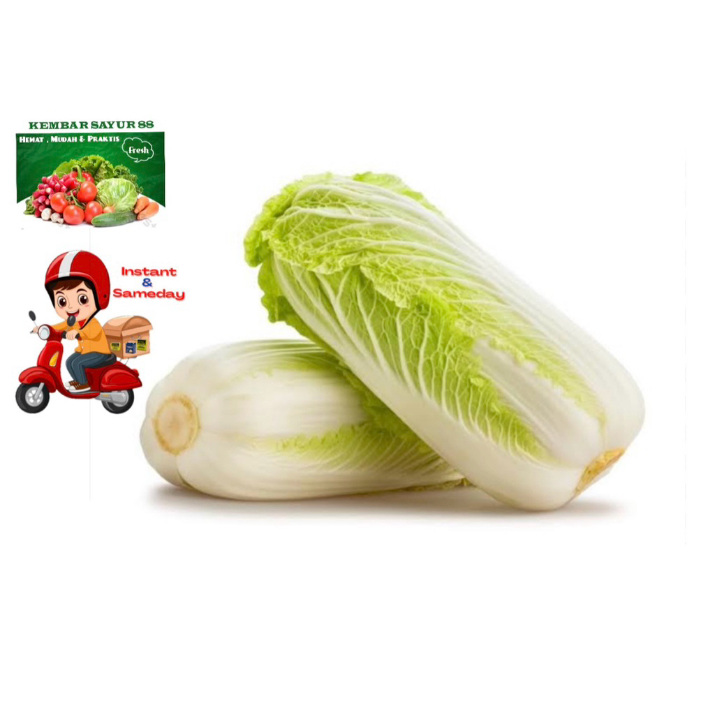 

Sawi Putih Fresh - Kembarsayur88