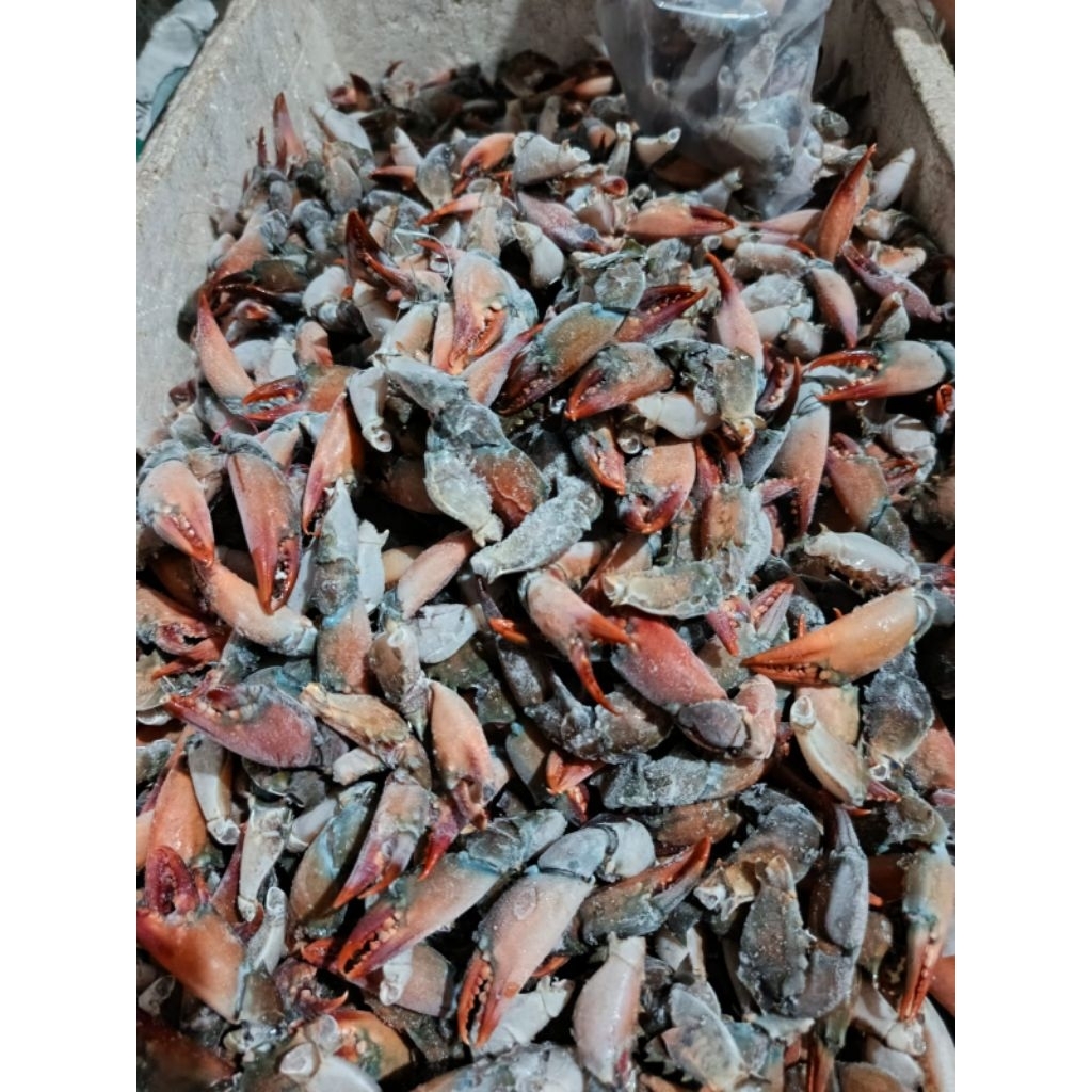 

Sumpit Kepiting segar Manis gurih