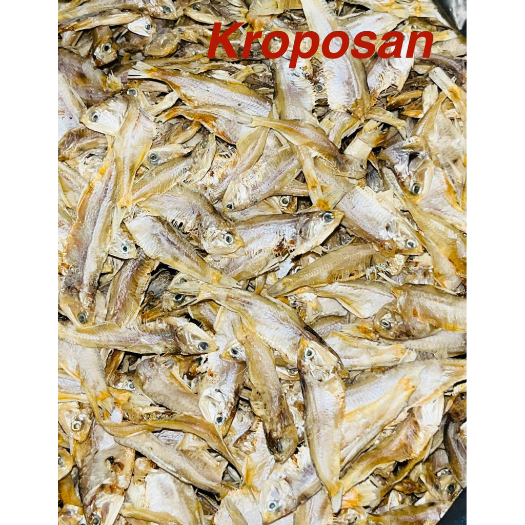 

IKAN ASIN KROPOSAN NO PENGAWET 100 gr