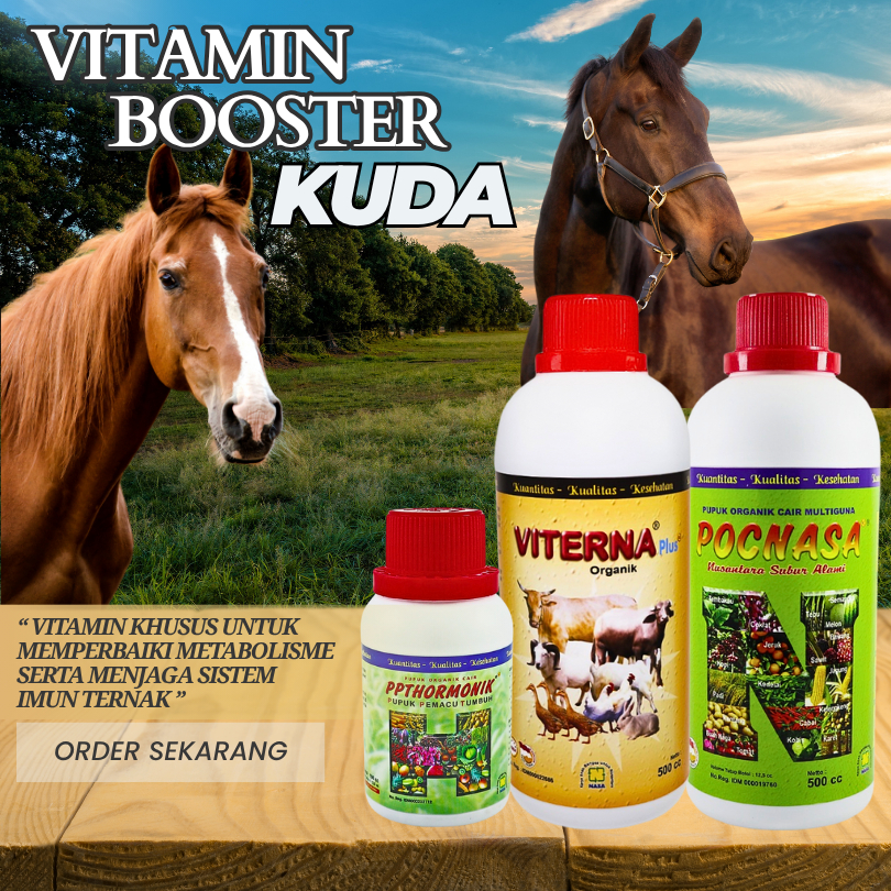 Vitamin Kuda Pacu Agar Sehat dan Bertenaga Paket Poc Nasa Hormonik Viterna Nasa untuk Ternak Lainnya