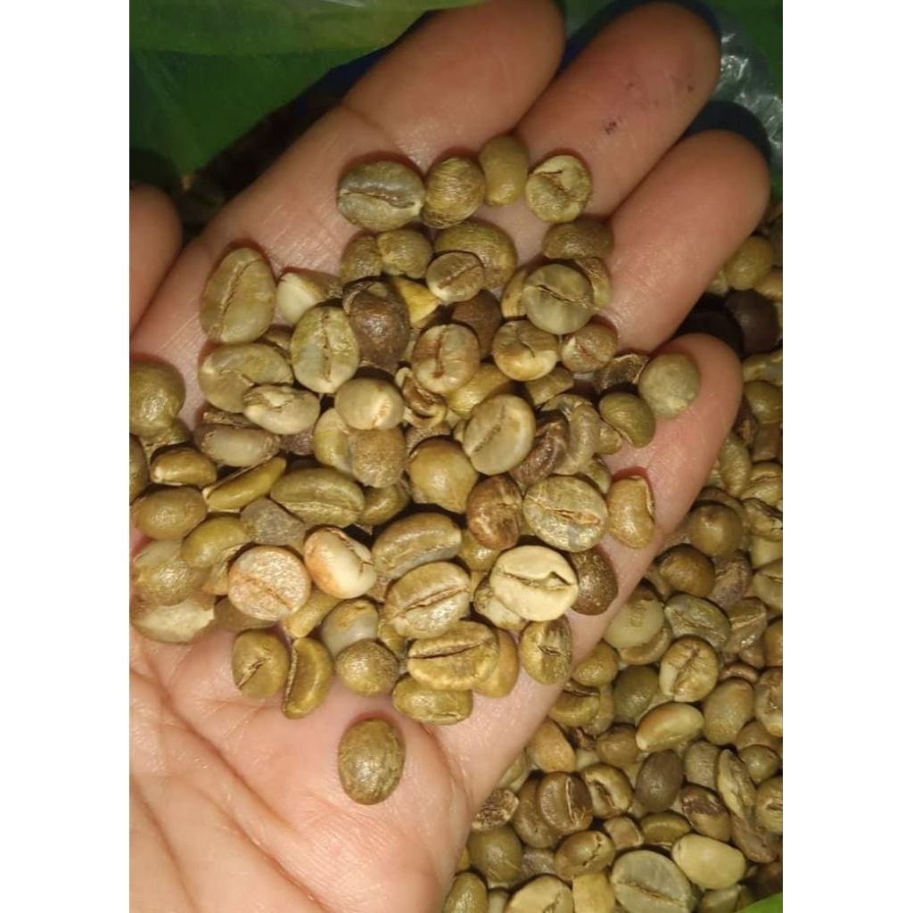 

kopi mentah biji arabica/robusta
