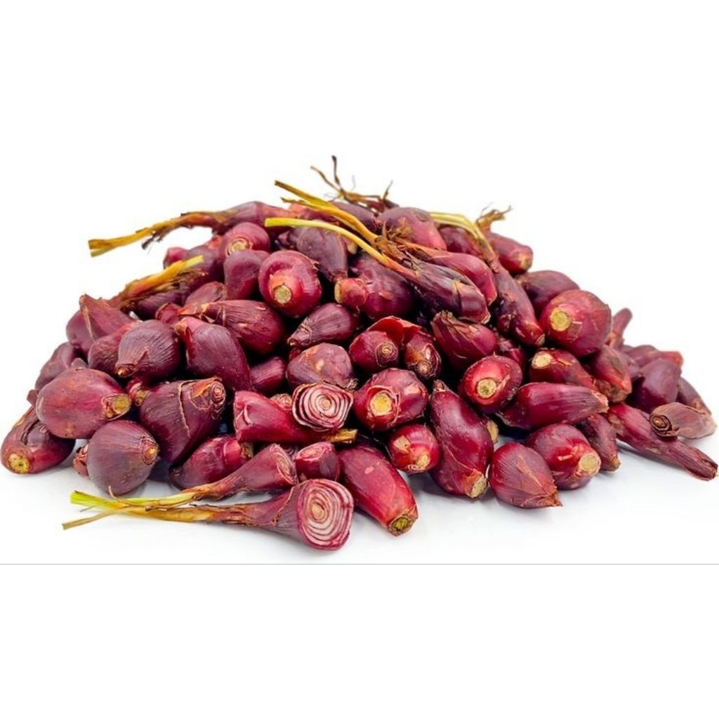 

500 GRAM BAWANG DAYAK/ BAWANG HERBAL FRESH BARU PANEN sebagai Pengobatan Alternatif darah tinggi kolestrol