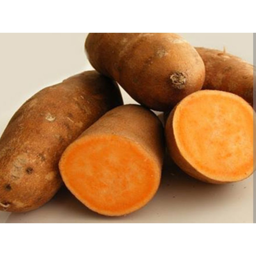 

ubi sile/ubi jalar/Mantang kuning dan merah