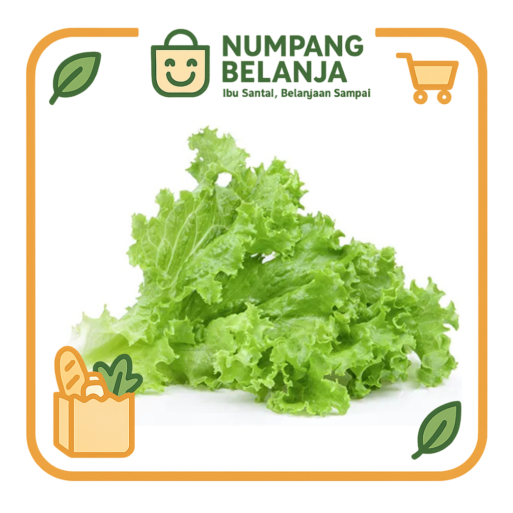 

daun selada sayur fresh [50g]