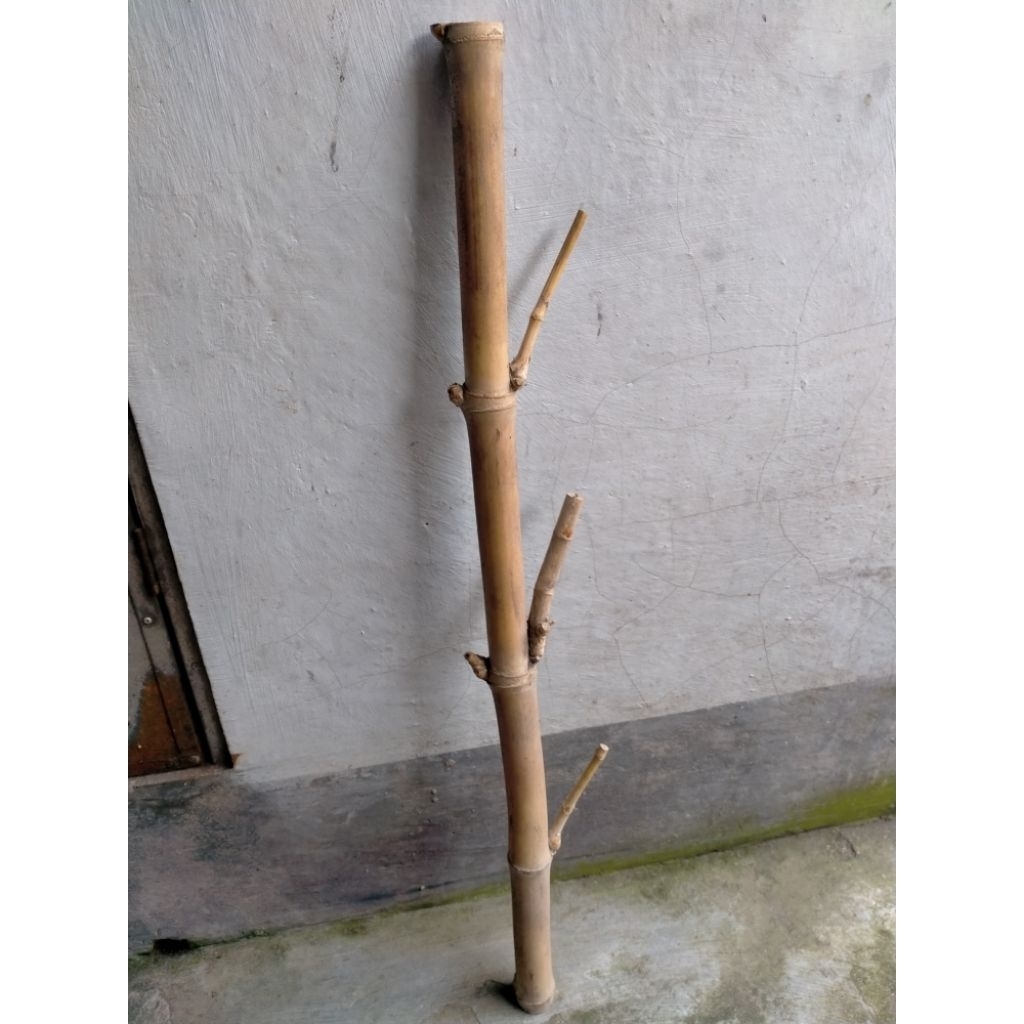 TONGKAT BAMBU UNIK BUNTET/TIDAK BERLUBANG (86 CM)