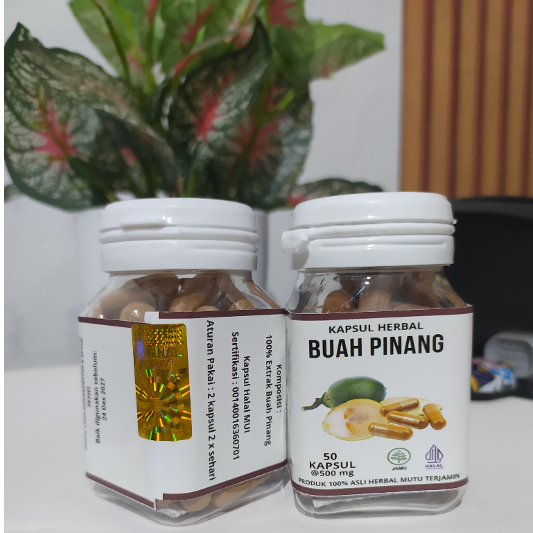 

Buah Pinang Muda Kapsul Asli 100% tanpa campuran