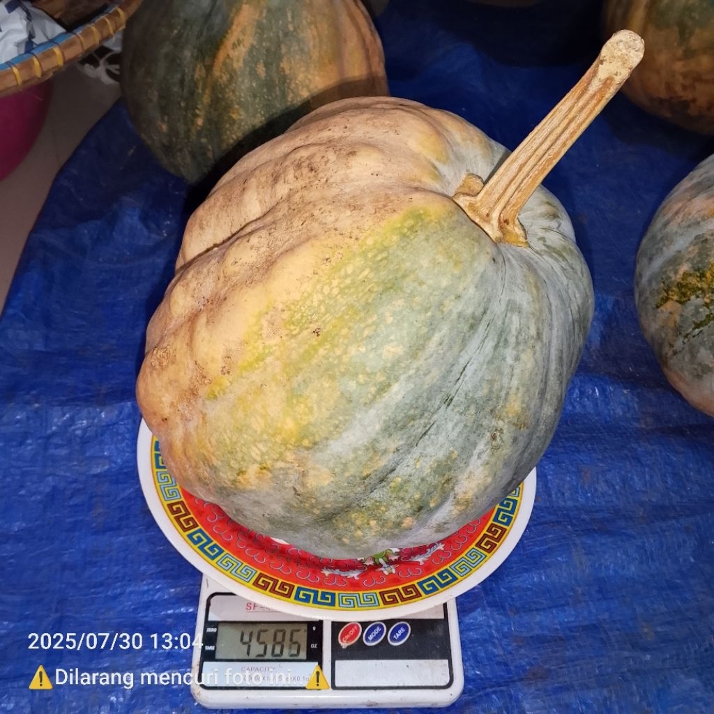 

[Ready Stok] Buah - Labu Kuning - Berat Timbangan -/+ 4,5kg