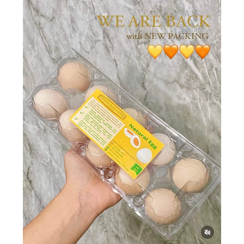 

Telur Ayam Kampung Segar 10pcs – Fresh Egg Farm – Telur Kampung Lampung – Packing Aman Mika + Bubble