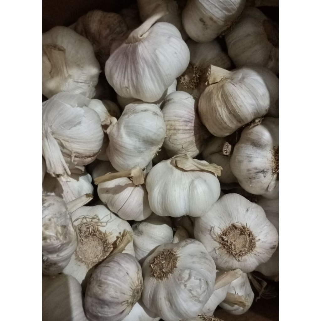 

1 kg bawang putih sinco import