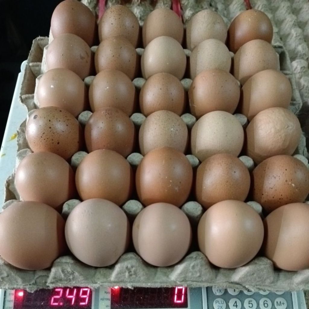 

Telur ayam uk. grade Super Jumbo