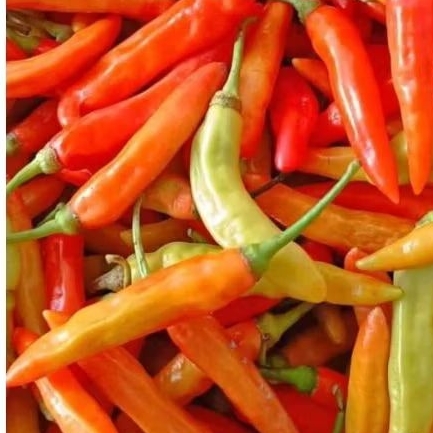 

Cabe Rawit merah pedes nampol 1 KG