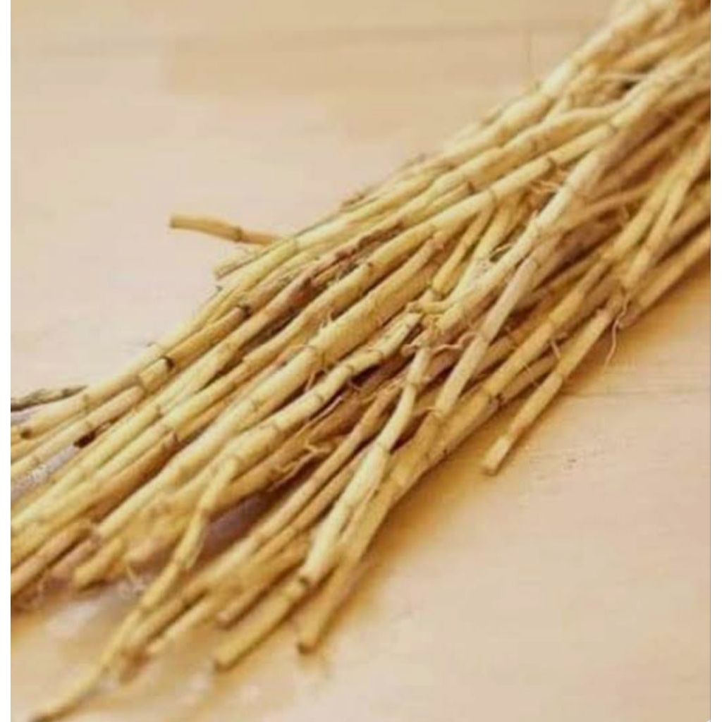 

AKAR ALANG-ALANG 500gr