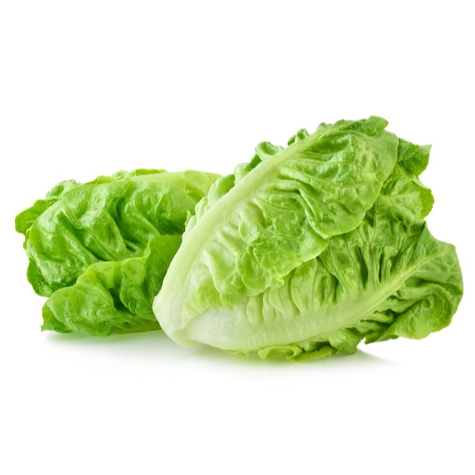 Romaine/Selada Romaine/Romaine Segar/Fresh Romaine/Selada Romaine Segar/1 Kg