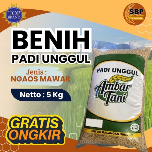 Benih Padi Ngaos Mawar 5kg