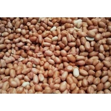 

Kacang Tanah Kupas Kering per 250gram