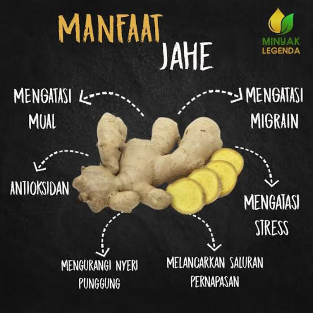 

jahe gajah 100 % fresh per 500 gram
