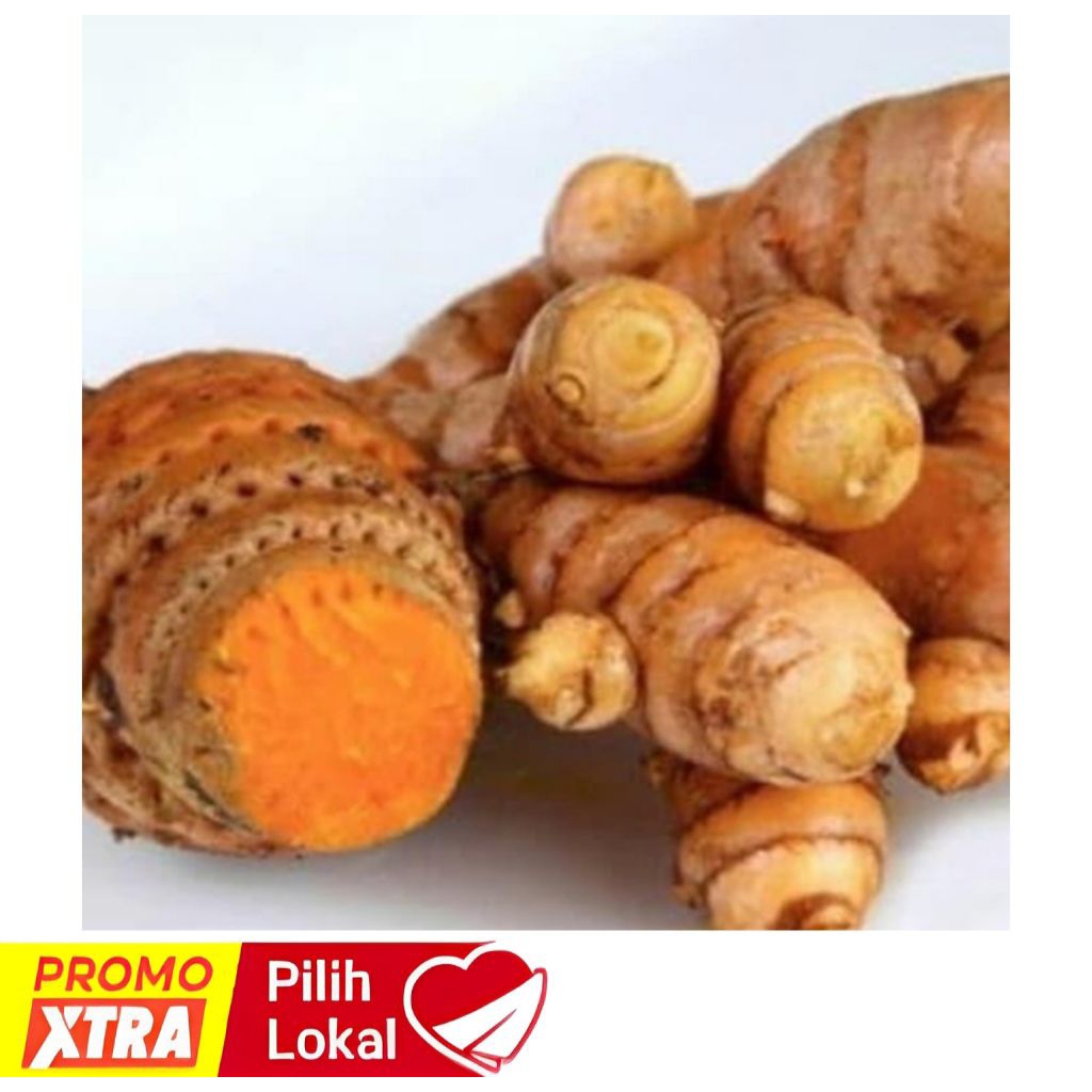 

TEMULAWAK/KONENG GEDE 1KG