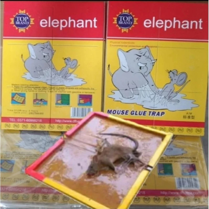 Lem Tikus CAP GAJAH Papan Perangkap Elephant / Trap / Jebakan Tikus Hama