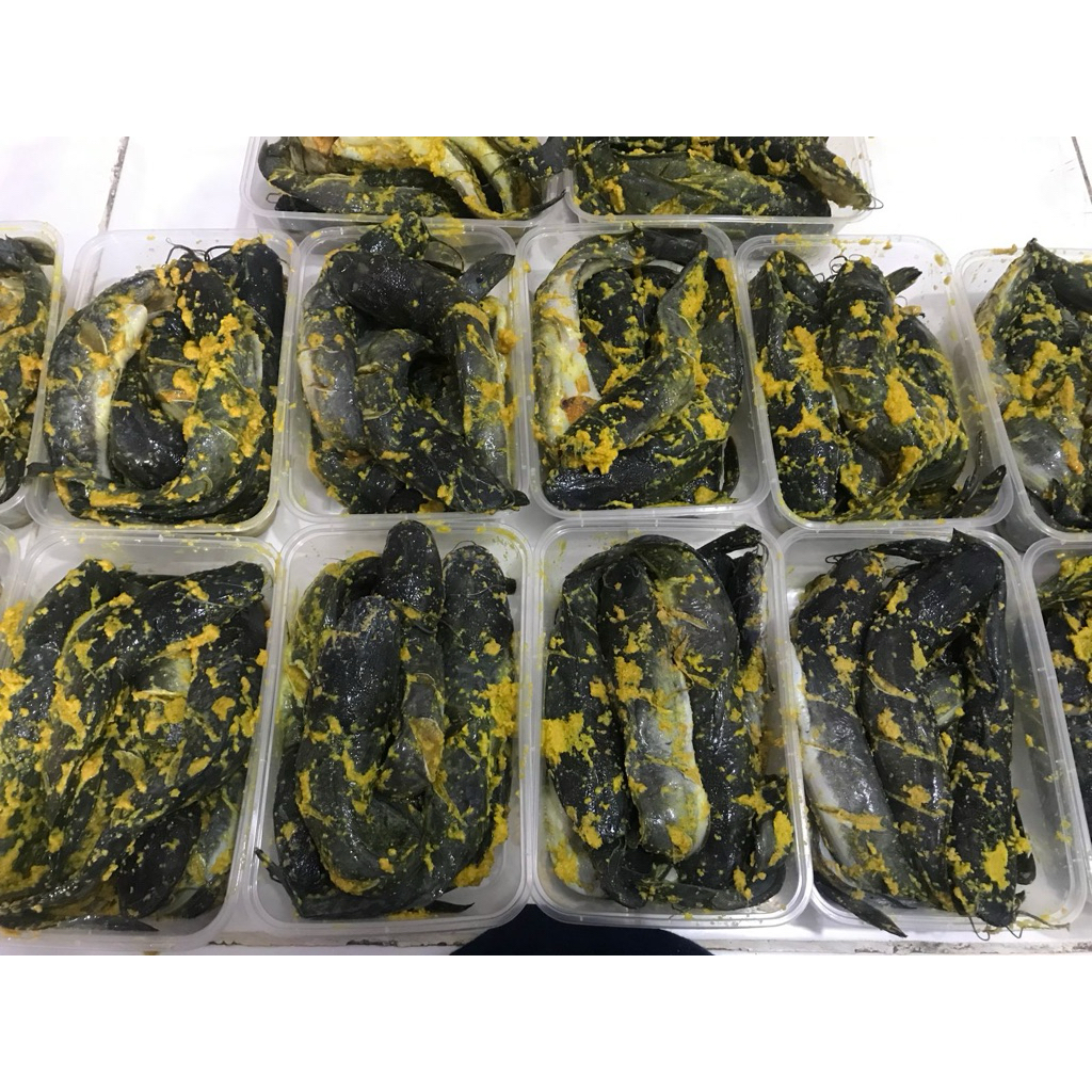 

Lele bumbu / Lele marinasi (box isi 4-5 ekor)