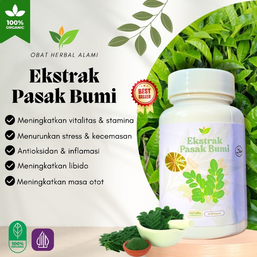

Herbal Tradisional P4S4K BUMI Ekstrak.