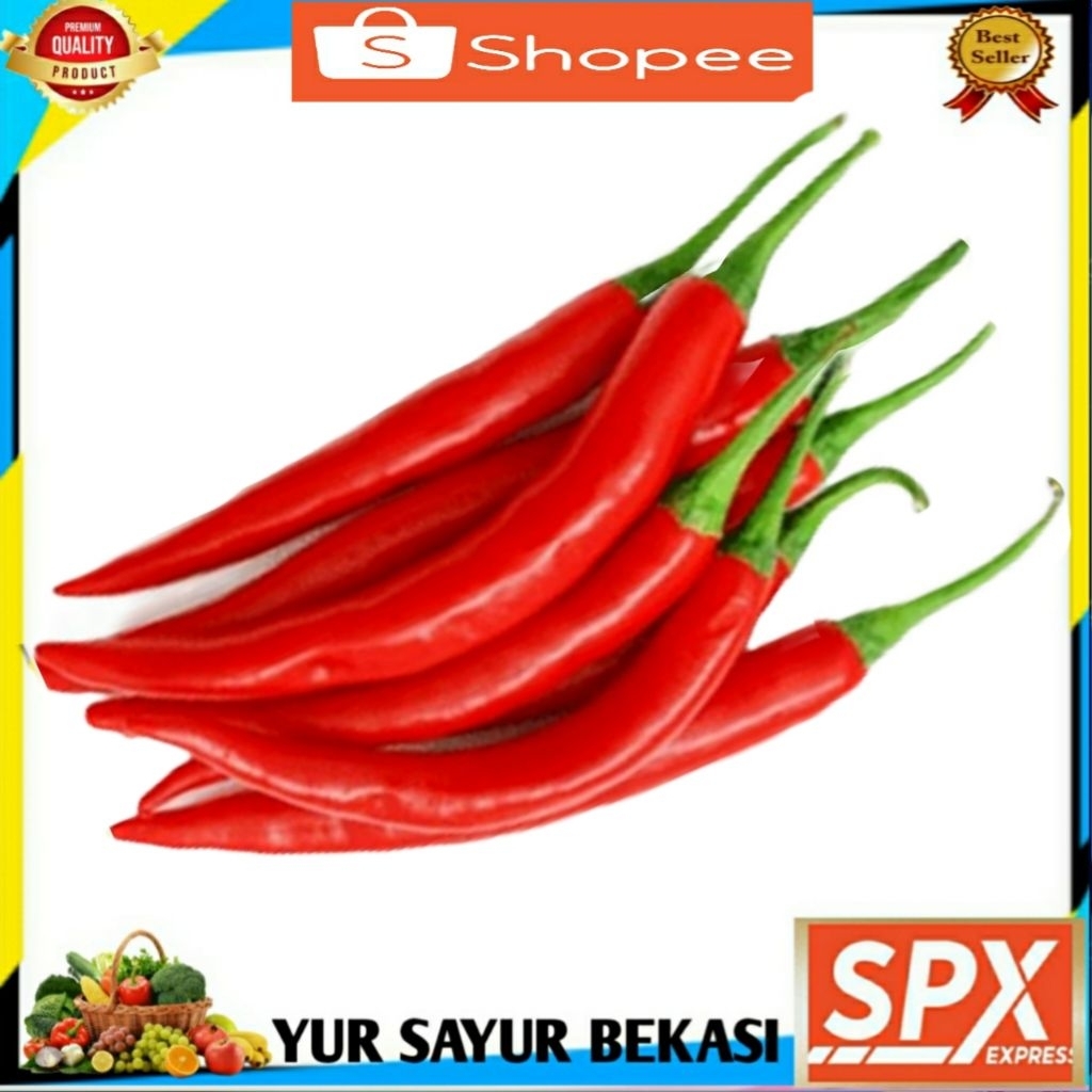 

Cabai Merah Besar/Cabe Merah Besar.
