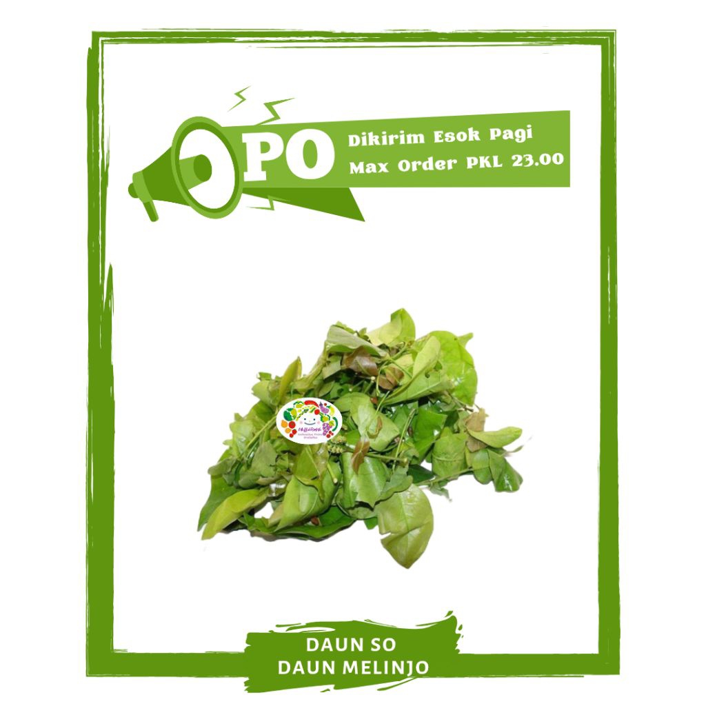 

Daun So / Melinjo / Sayur Sayuran Segar PO Mallahrizwa