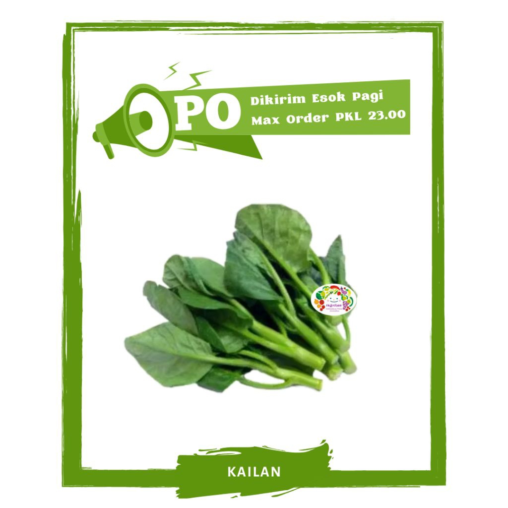 

Sayur Kailan / Sayur Sayuran Segar PO Mallahrizwa