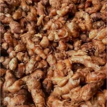 

Kencur Bumbu Masakan yang Kaya akan Manfaat 1 KG