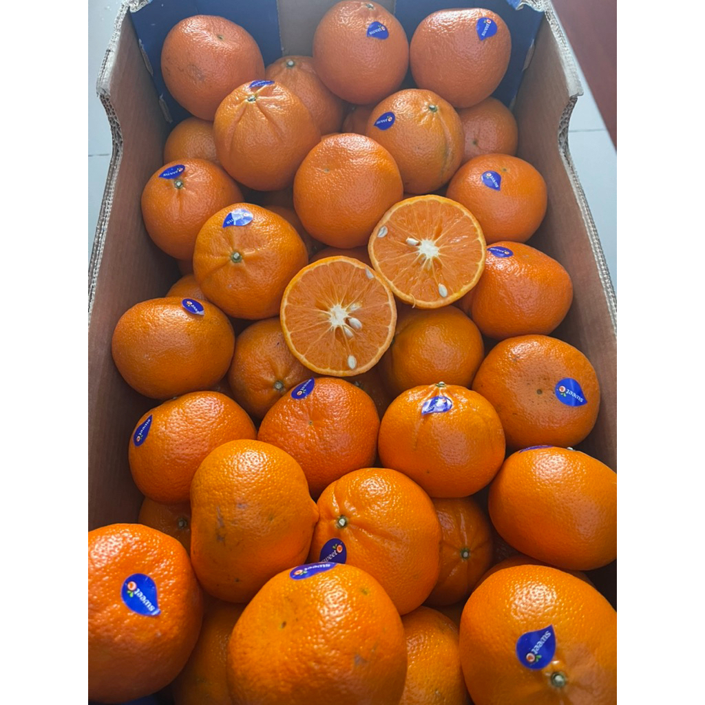 

Jeruk Clemengold Afrika Seger Seedless Non Biji