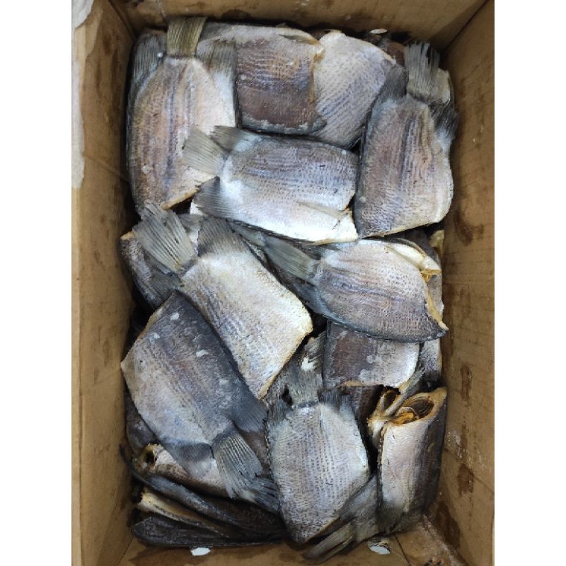 

ikan asin sepat asli Kalimantan barat