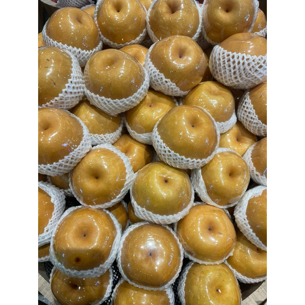 

Pir Singo Korea Jumbo | Korean Singo Pear Premium – Super Manis & Renyah 1,2kg