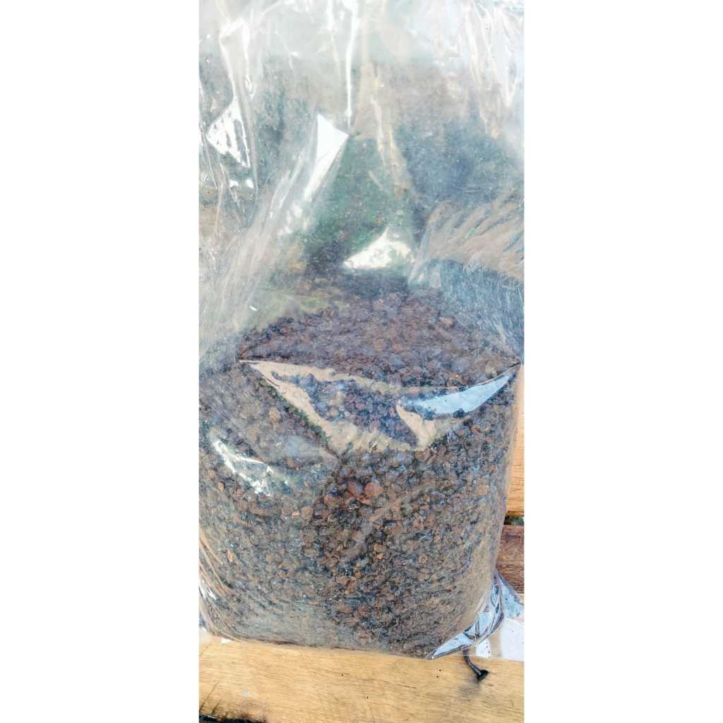 

Kopi Kasar Aceh Nuha B (250 Gram)