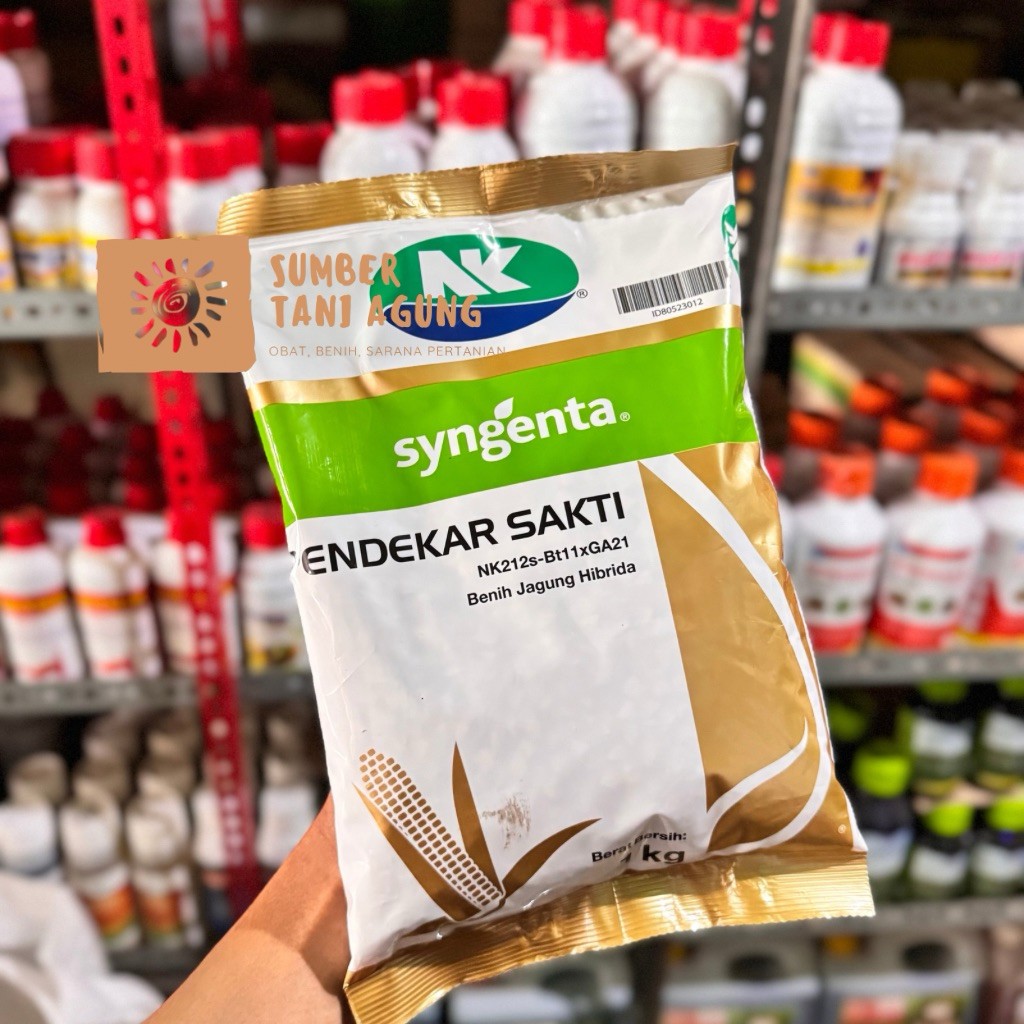 NK PENDEKAR SAKTI (100% ORIGINAL) - BENIH JAGUNG HIBRIDA SYNGENTA KEMASAN 1KG