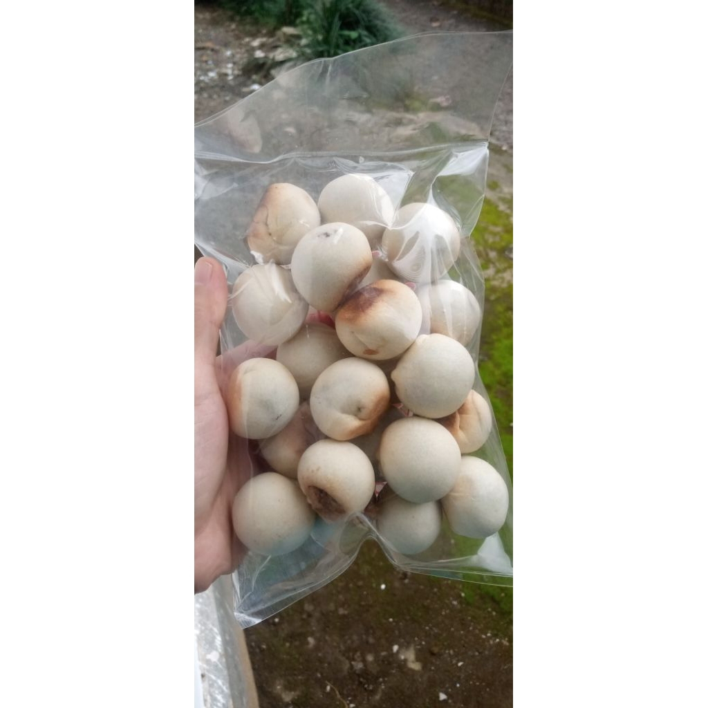 

KUE MINO ( MINI NOPIA) Rasa Gulajawa/coklat/pandan