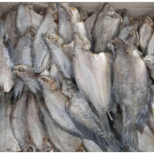 

Asin Sepat PerOns | JBP_Fresh