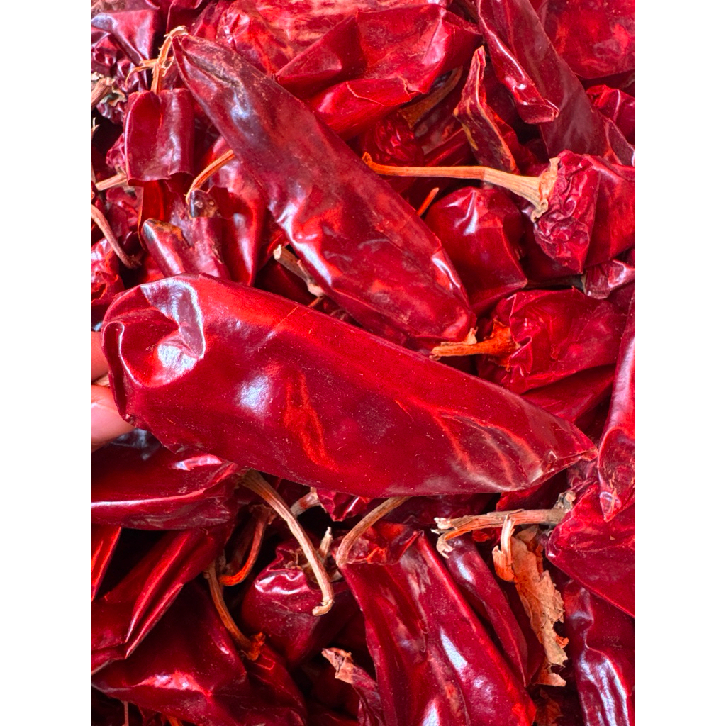 

cabe kering gendut / lombok habang tidak pedas