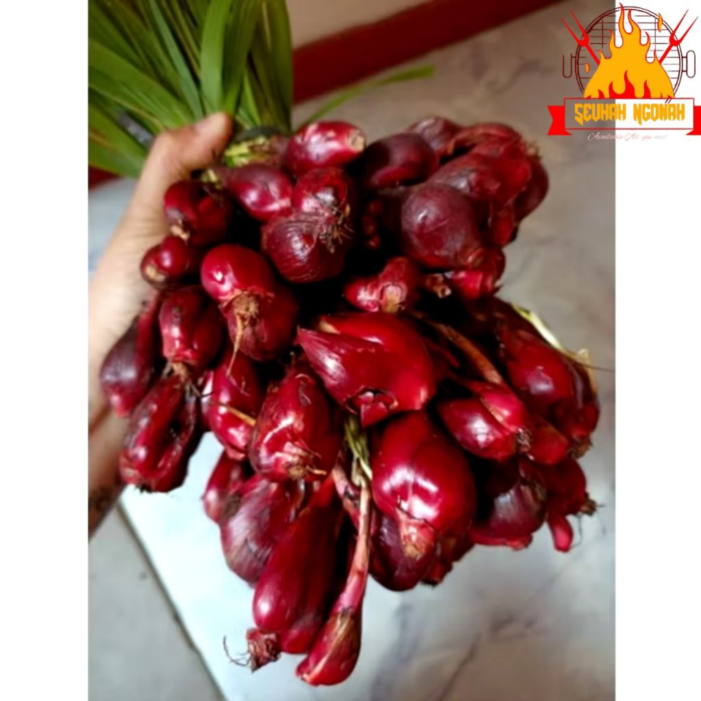 

BAWANG DAYAK SEGAR 1KG BAWANG TIWAI BAWANG KALIMANTAN BERKUALITAS